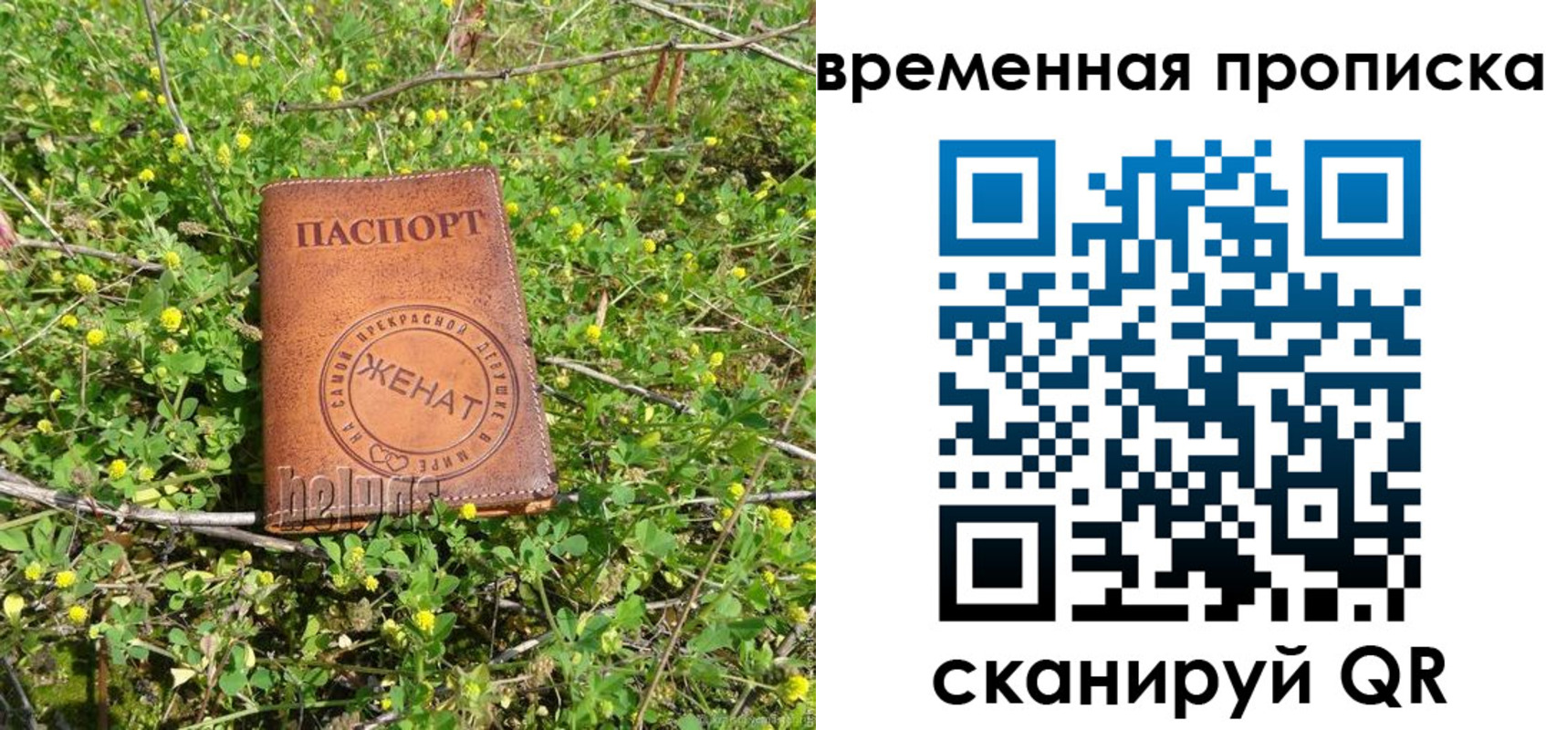 форма 3 в Похвистнево